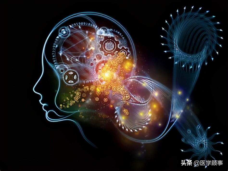 微小腦區的精確再細分