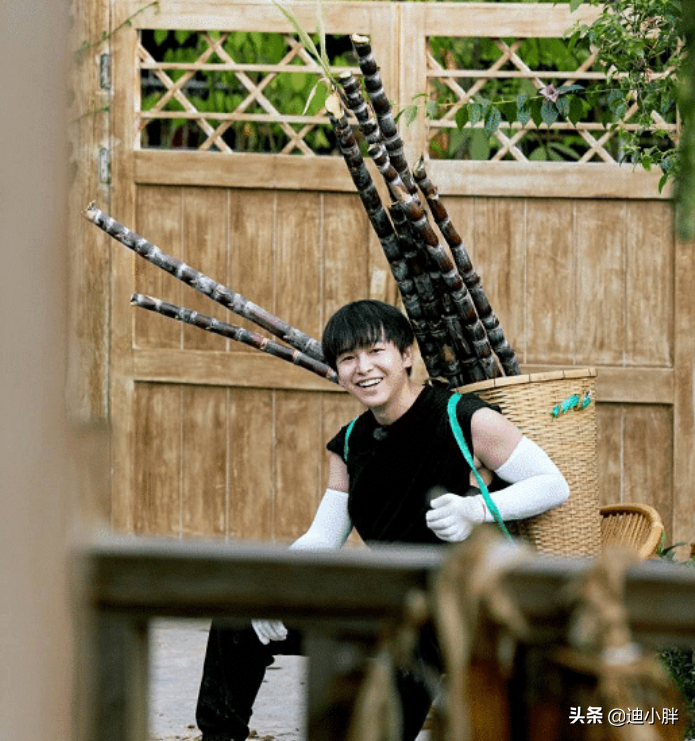 叫任嘉伦太陌生，叫哥哥太肉麻，有谁注意彭昱