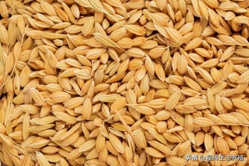 2021年水稻最低收购价具体是多少？附2021年稻谷最低收购价政策