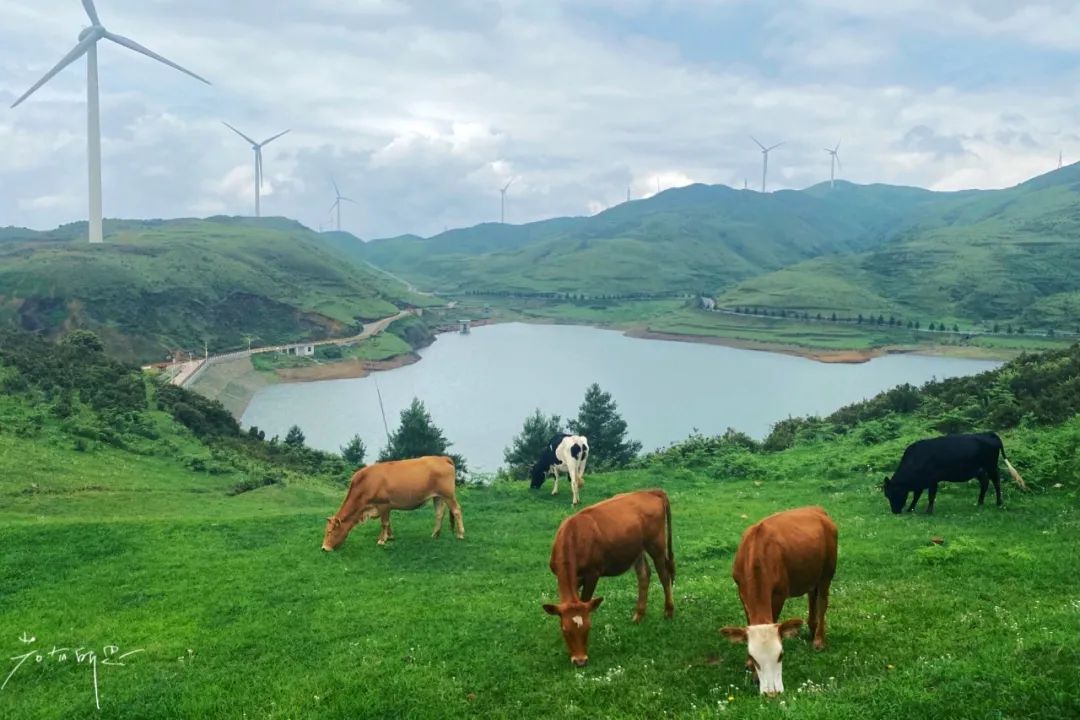 夏天去哪避暑？七八月还要穿外套的这五个地方，凉快又好玩