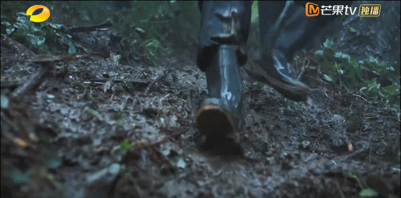 连续9天收视第一，获人民日报点赞，湖南卫视终