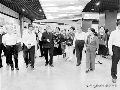 振兴中医药正逢其时