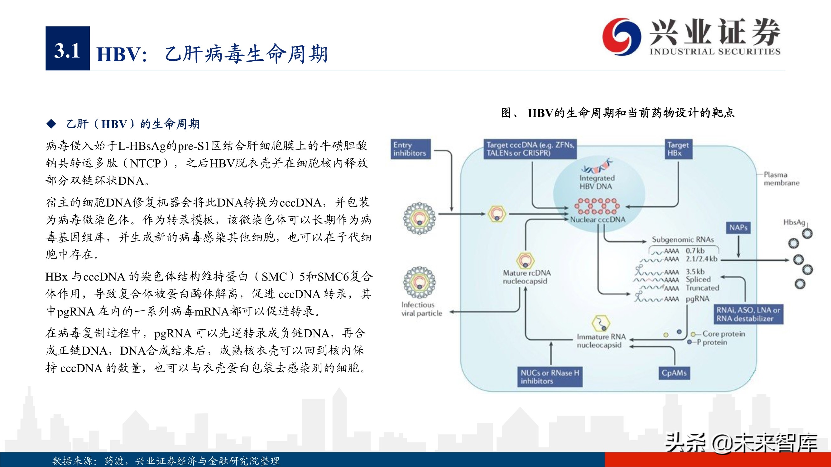 抗病毒药物150页深度报告：新冠映射下的价值洼地