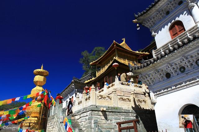 五台山不是一座山也不仅是来祈福这五座寺庙太值得一看