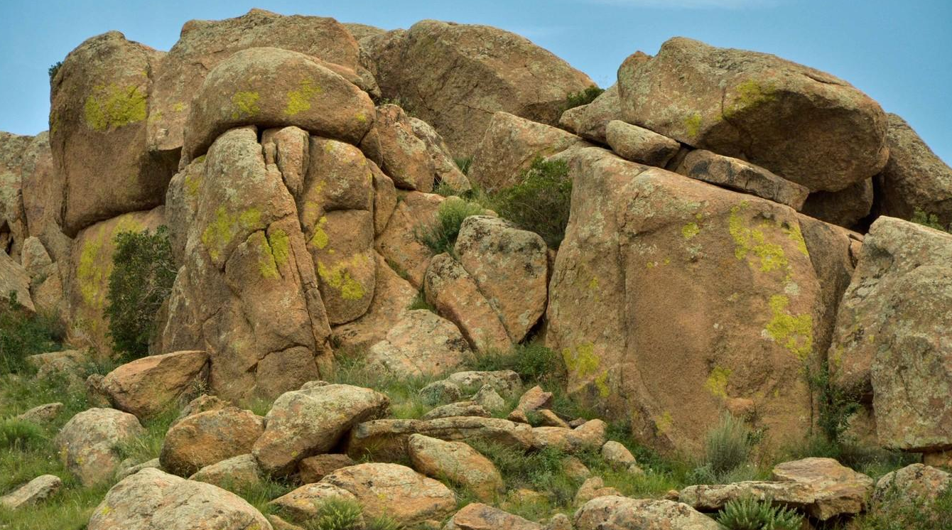 ��������1968���������磬�ٱ�7Ѯ��ũ��5�����߼��ɲ���������