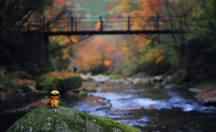 There is a heartbeat called the autumn of the Qinba Mountains!  Red leaves in clear autumn, encounter romantic scenery