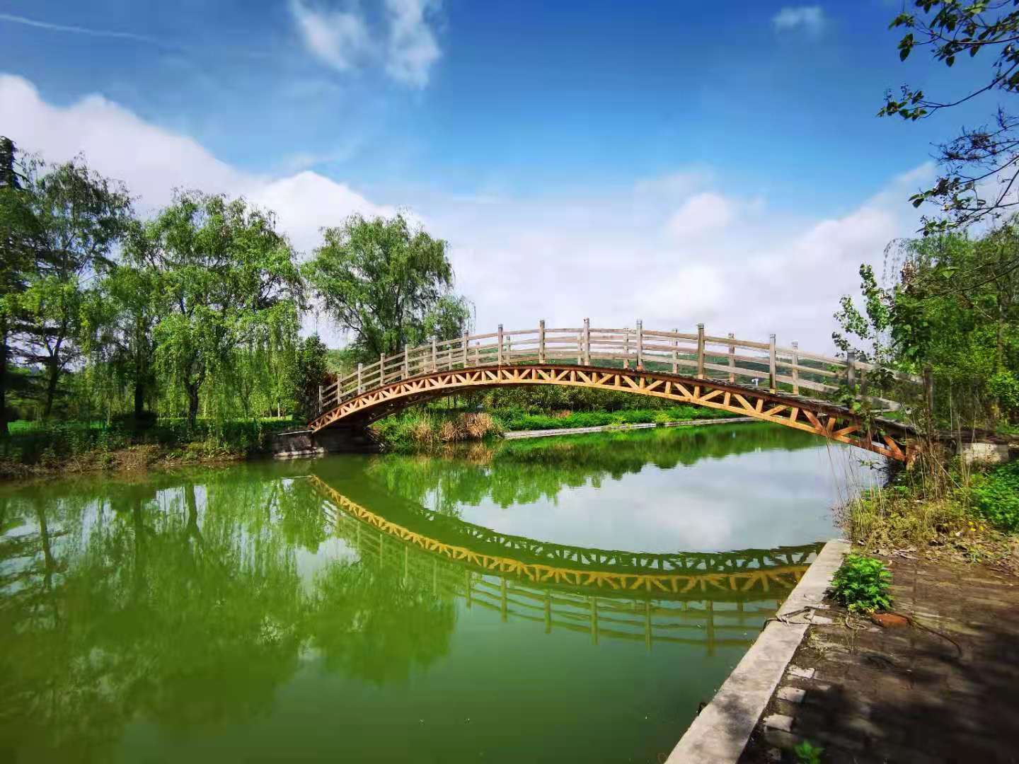 �ԷǷ��¾�ƽ������δ��Ϊ����ʦ������3000Ķ��ѧ���Ͷ���������