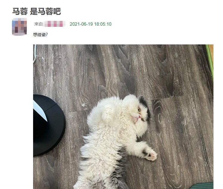 婚变5年后，王宝强事业爱情双丰收，马蓉依旧人人喊打，活该
