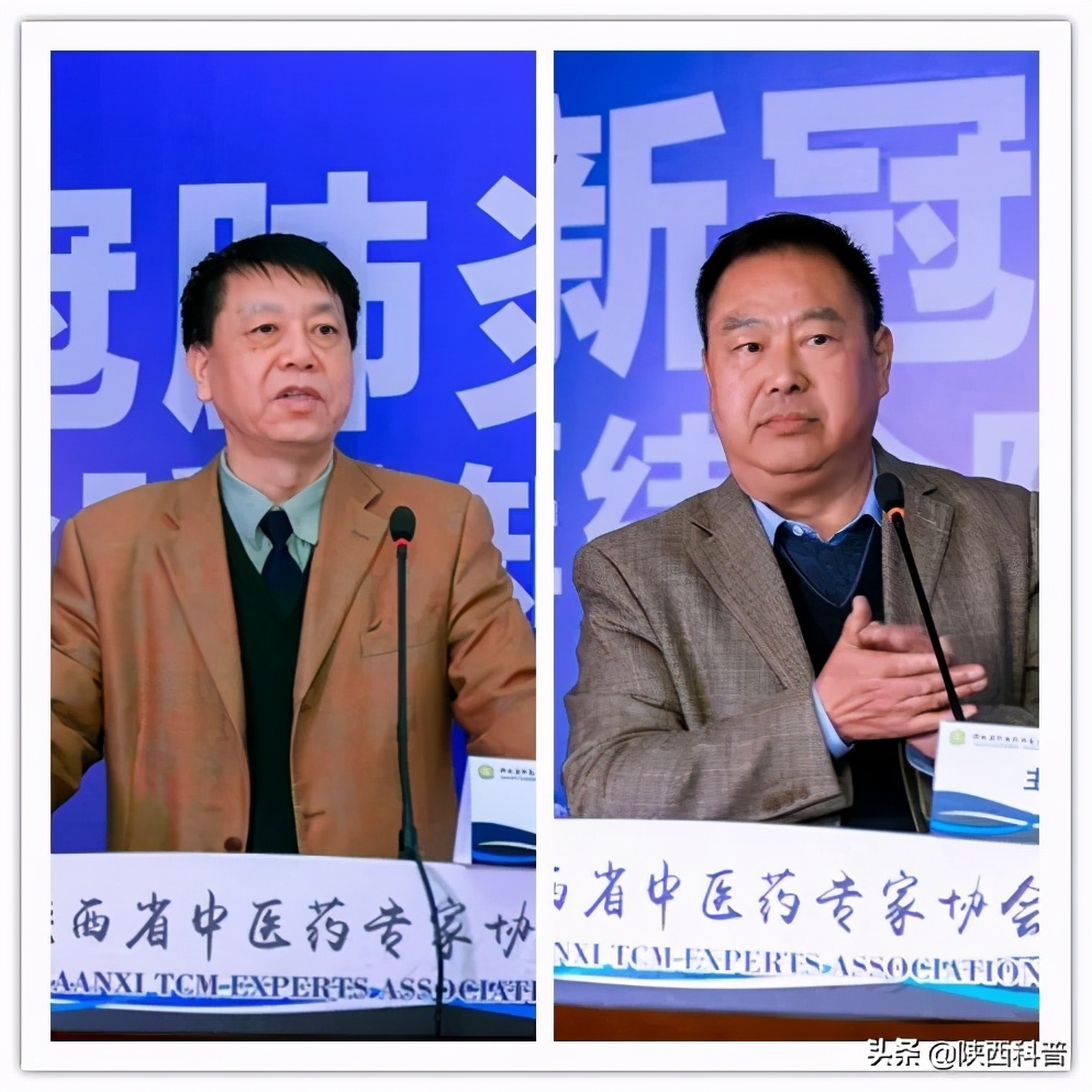 学术动态 | 陕西省中医药专家协会中西医结合防控新冠肺炎培训班成功举办