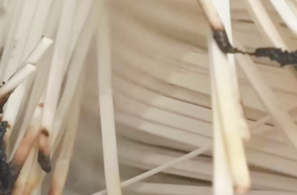 吃麵養胃還是傷胃？ 答案可能和你想的不同！ 這樣煮麵，筋道又好吃