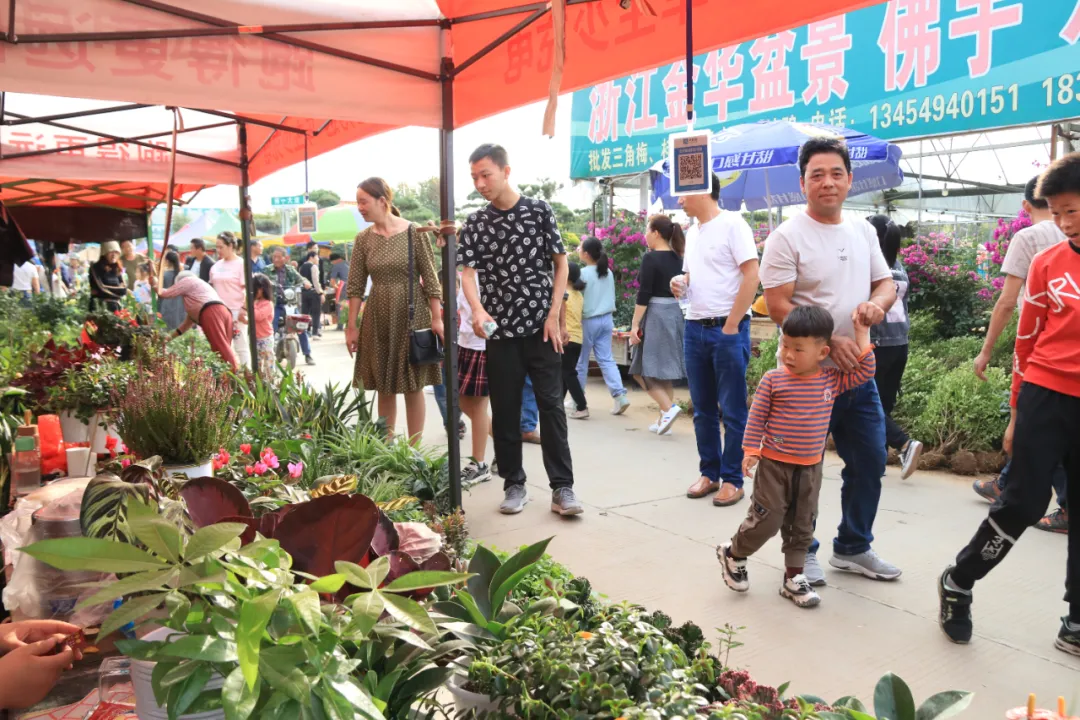 大饱眼福，第八届中国沭阳花木节竟如此精彩！你想看的全在这里…