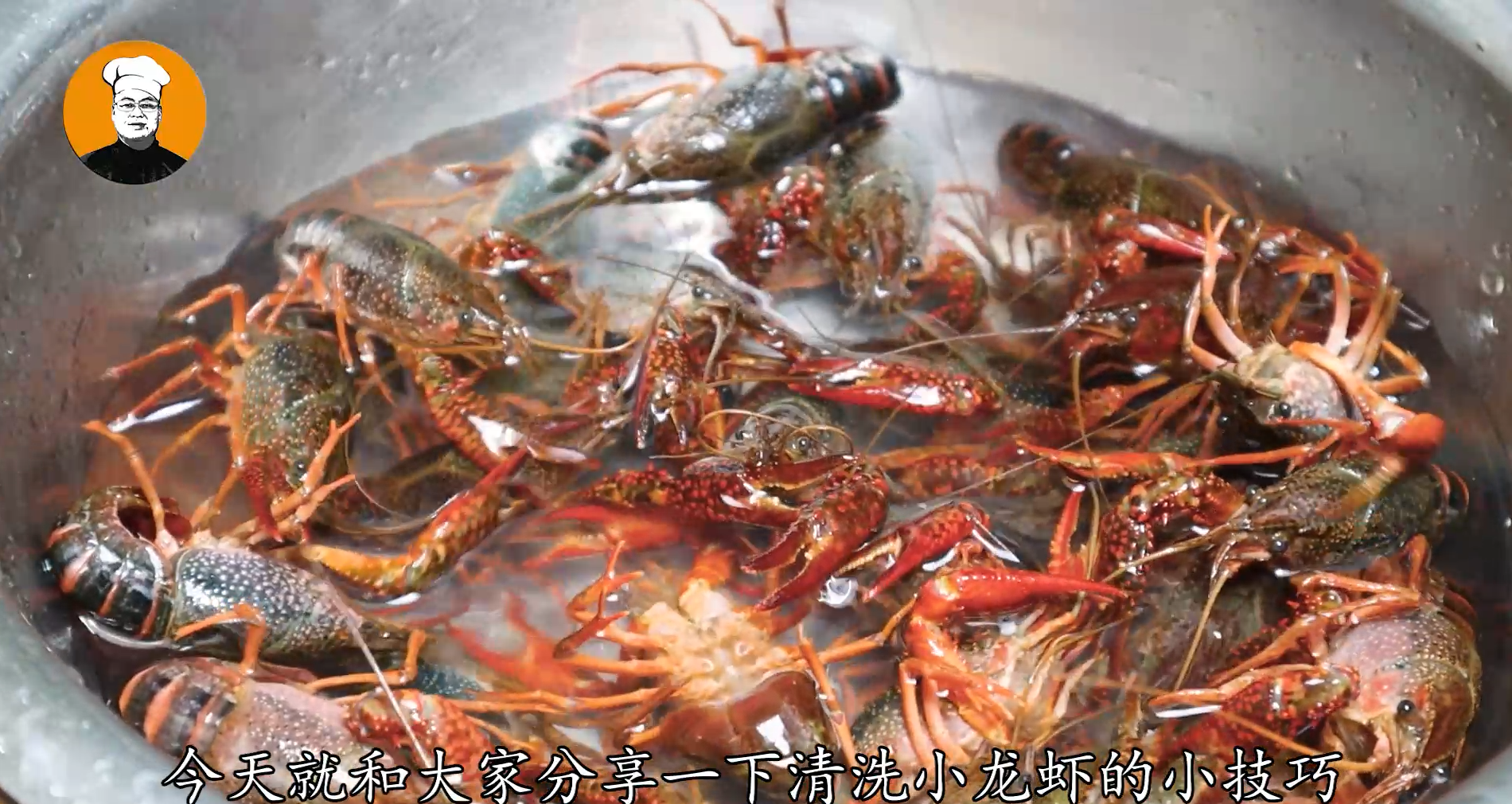 小草地別只用清水洗，等於吃垃圾，教你妙招，臟東西全跑光