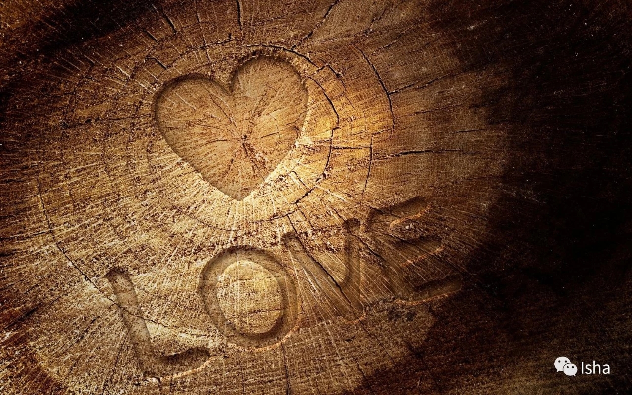 愛意味著給予甜蜜 薩古魯中文 Mdeditor