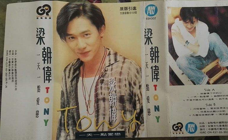 明星们的“隐藏实力”，梁朝伟唱功被低估，赵