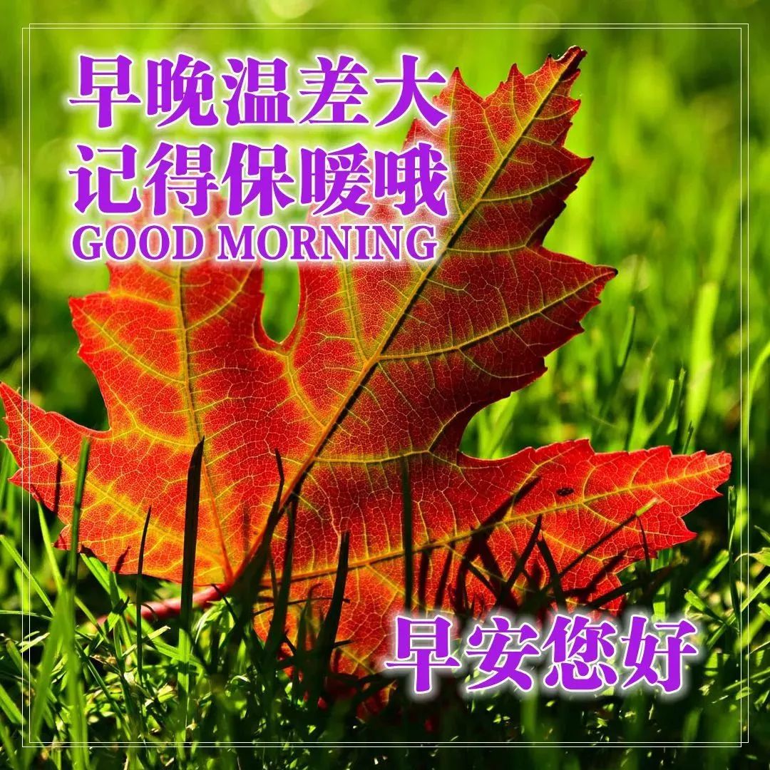 %title插图%num 早上好图片 祝福语问候语 早上好问候专辑 问候语大全