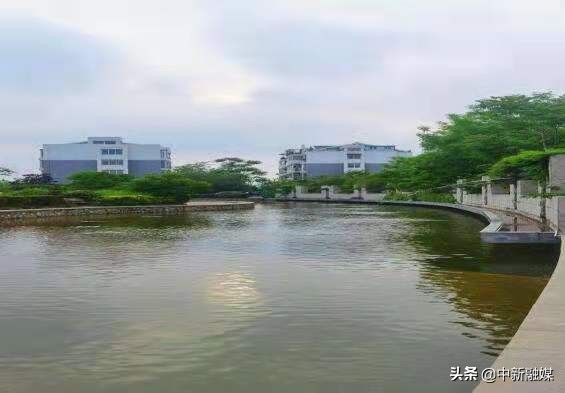 河南开封：物业服务暖人心 居民点赞笑开颜