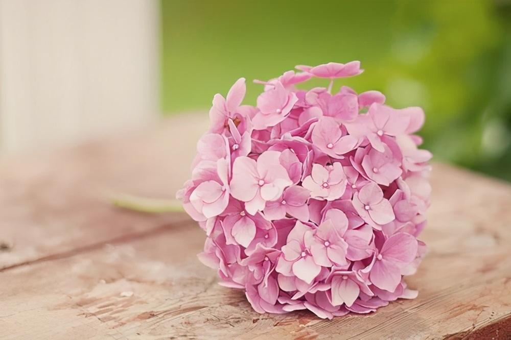 婚姻不幸，全职带娃没收入，宝妈如何逆袭人生？四条建议请收藏