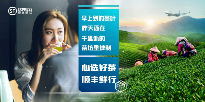 顺丰全力保障苏州碧螺春茶运送各环节 让消费者第一时间品尝新茶