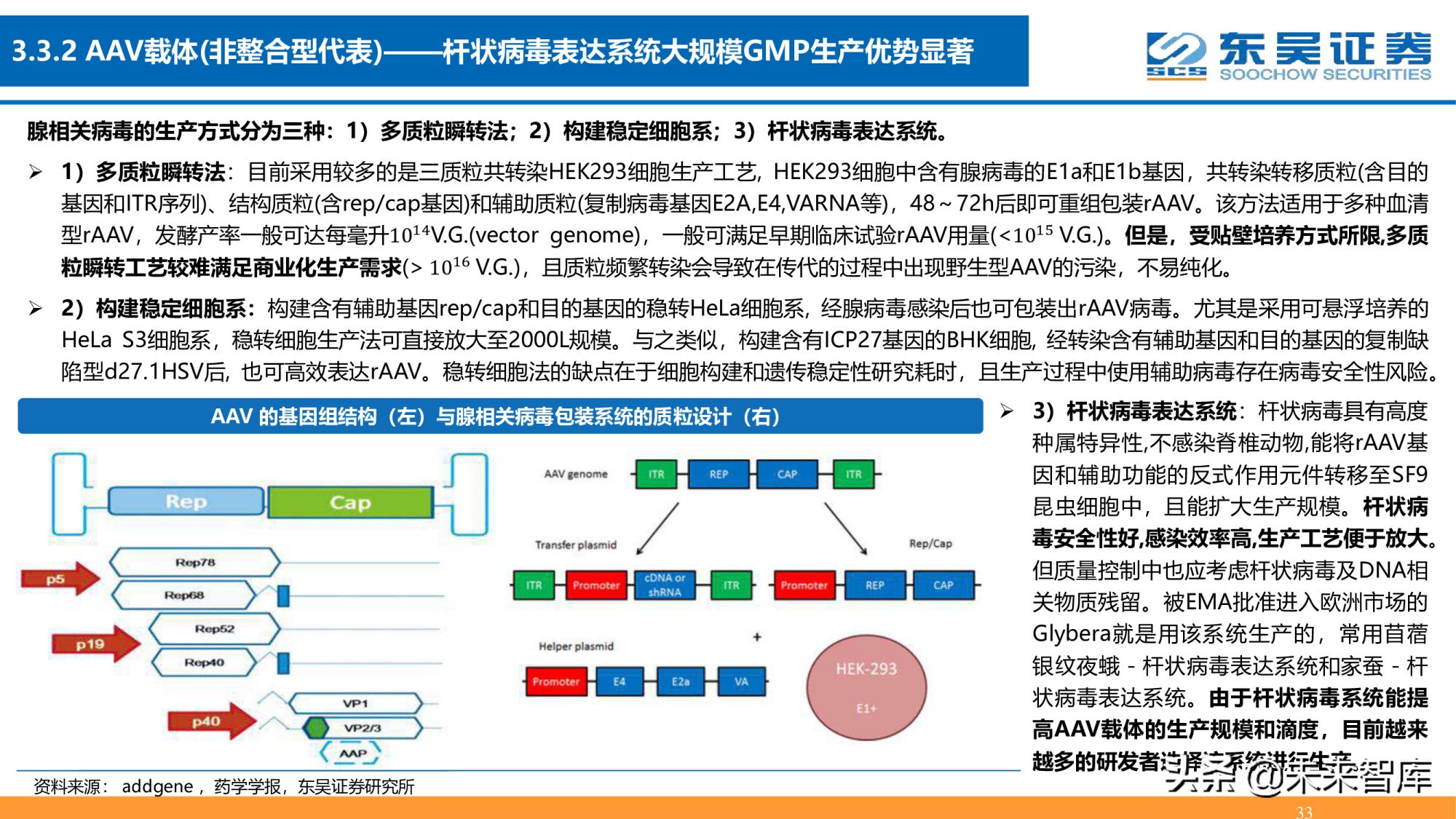 细胞基因治疗CDMO行业深度报告：星火已成燎原势