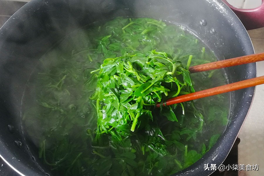 圖片[10]-苜蓿2種吃法 春天不吃又等一年 營養又好吃 大肚腩越吃越小-起舞食譜網