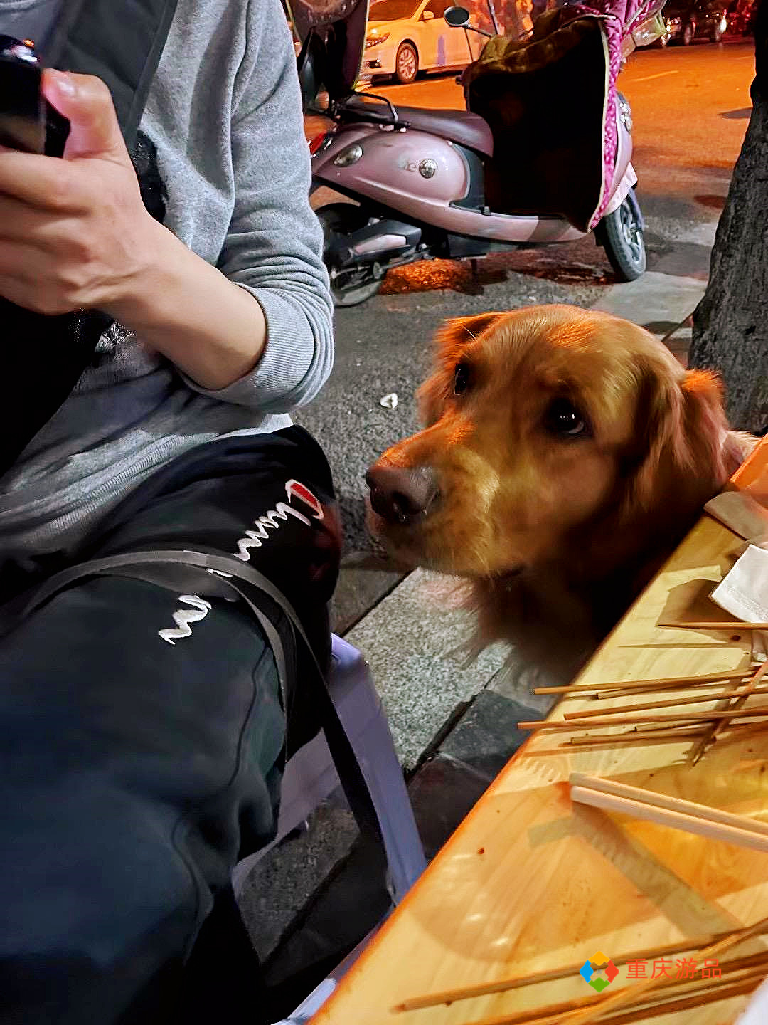 重庆小两口环游中国：抵达四川石棉，烧烤美味，金毛犬成功入住