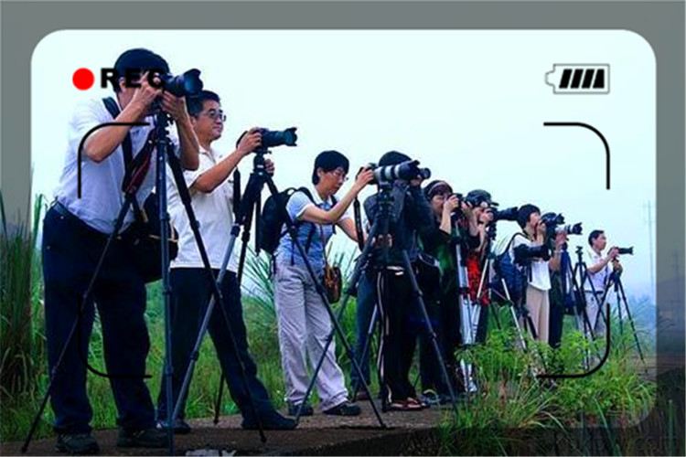 一年纯收入20万元，普通人做什么可以实现呢？这