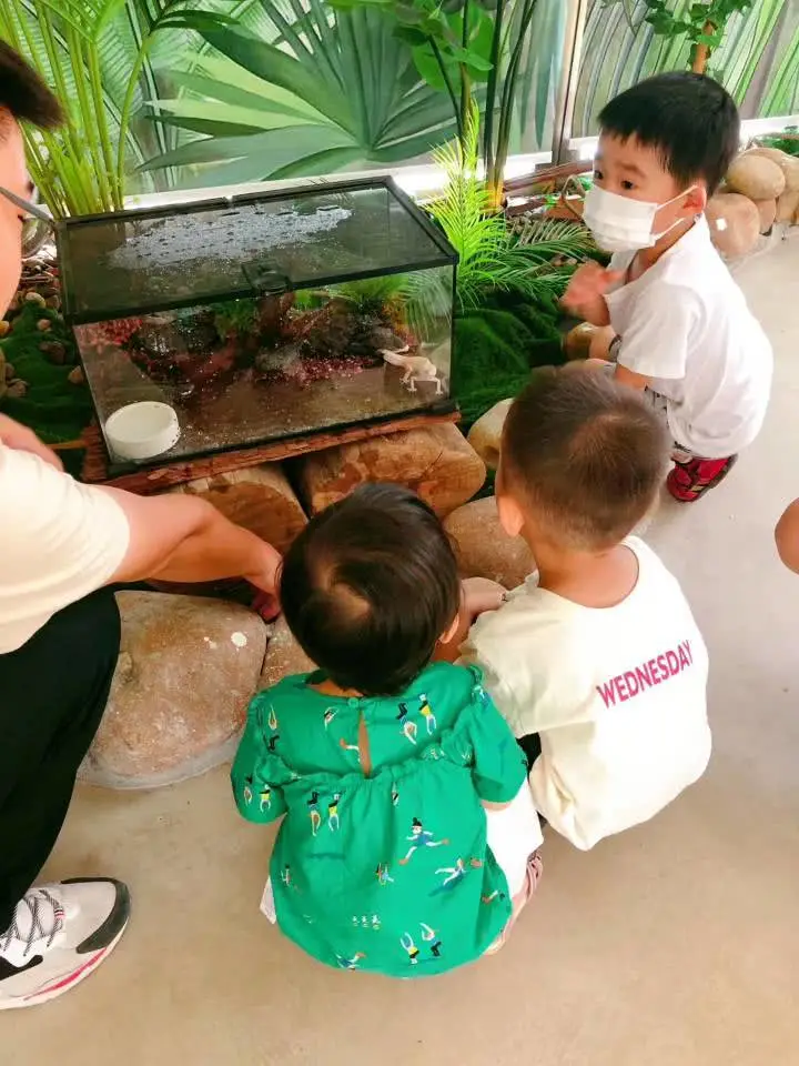 深圳又一遛娃胜地，城市中的自然成长乐园，野趣精致的户外营地