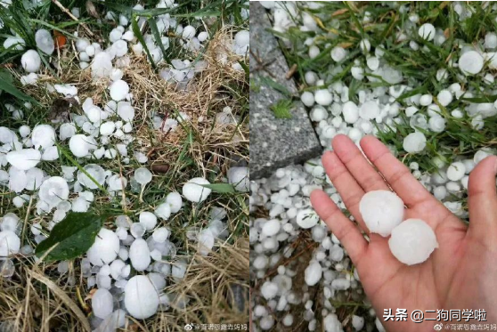 昨晚，山东14市遭遇冰雹天气！最大鸡蛋个头等于从3楼扔下个花盆