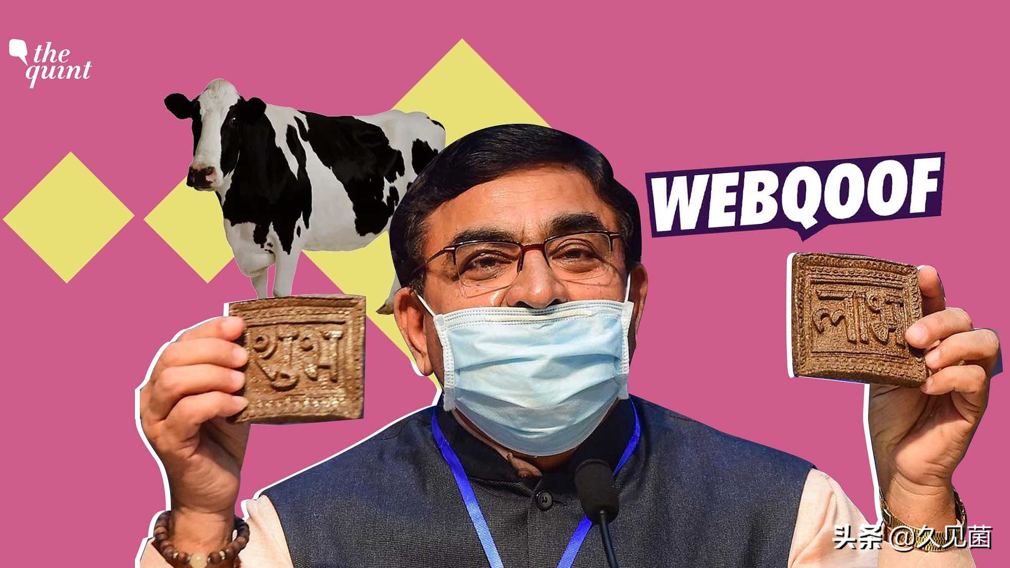 印度用牛糞做出了芯片？ 預計大量出口美國，還能遏制疫情