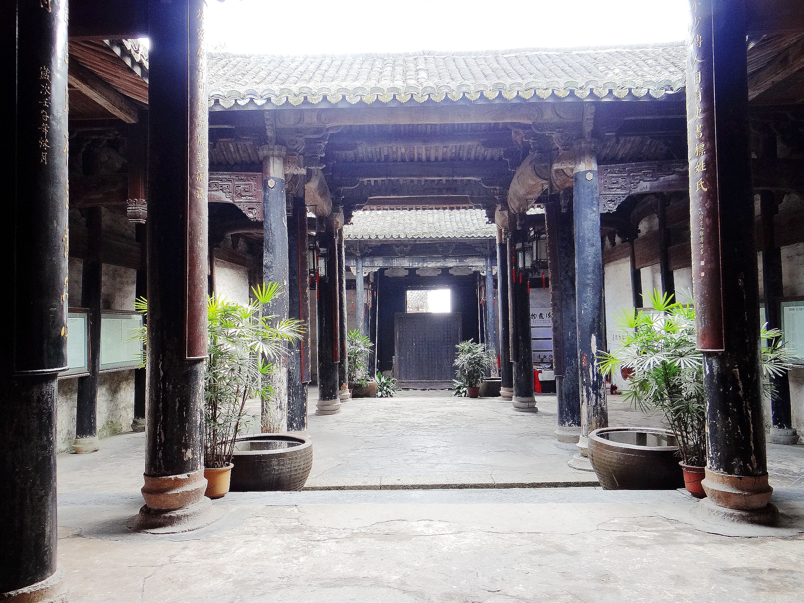 诸葛八卦村构建神奇，后世子孙多以医药为业，这是为了什么原因？