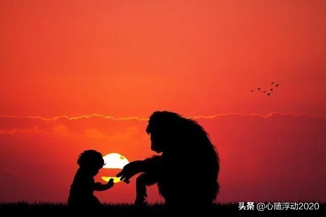 它熬死了恐龙，如今却成为人类的宠物，名字霸