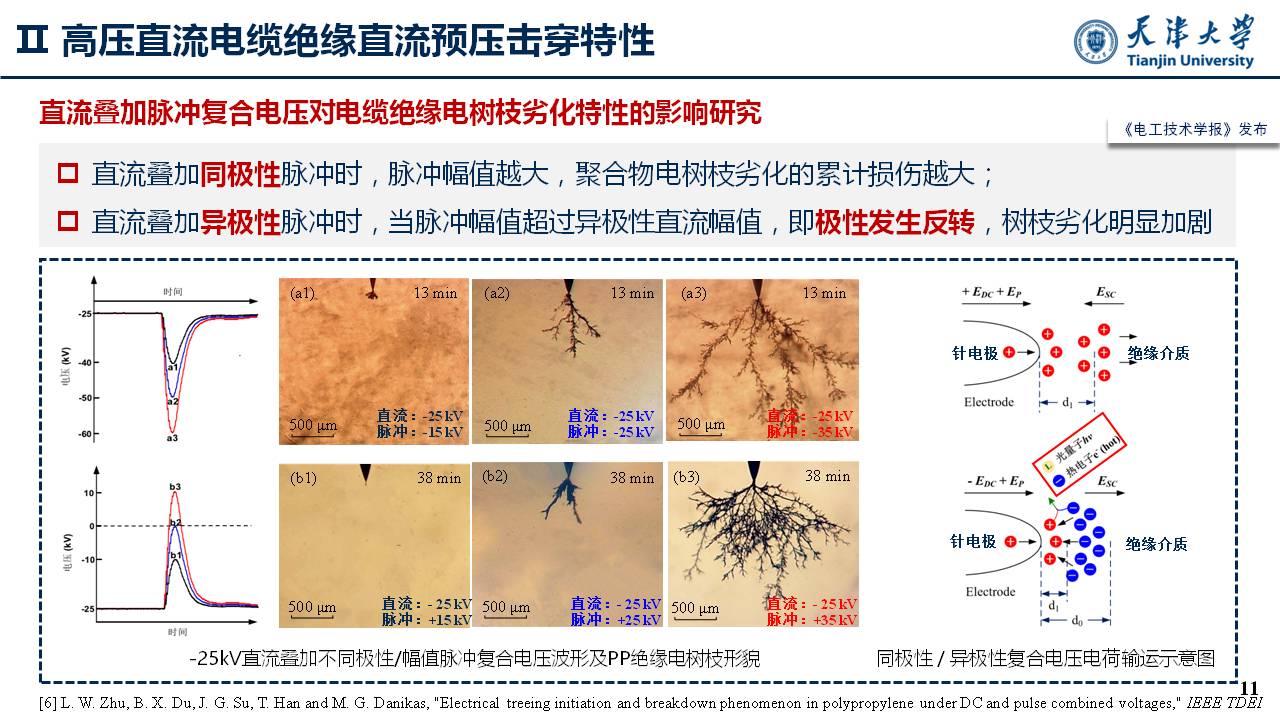 天津大学李忠磊副教授：高压直流电缆绝缘直流预压击穿特性及调控