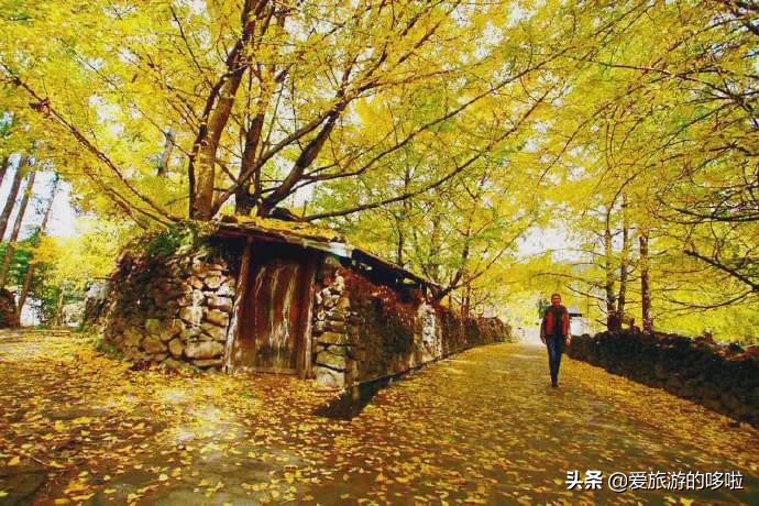 The best place to travel in October-November, the late autumn tour bus is about to depart