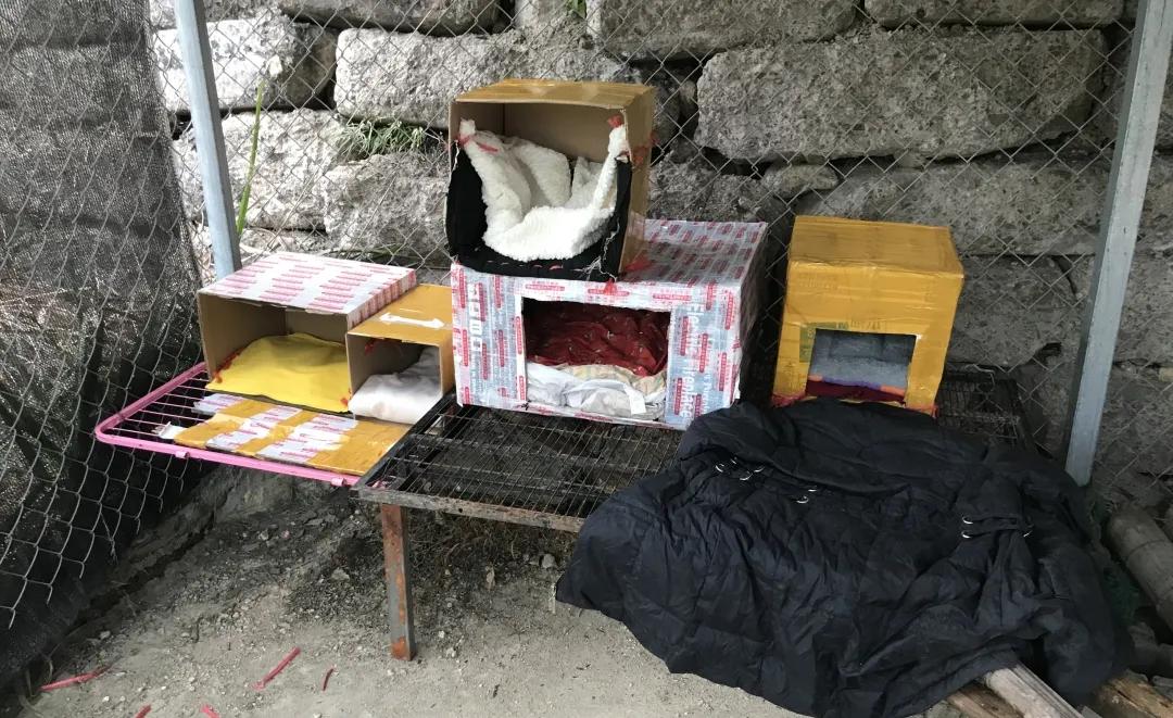 浙动保金华中心“关爱动物，温暖宠心”活动圆满结束