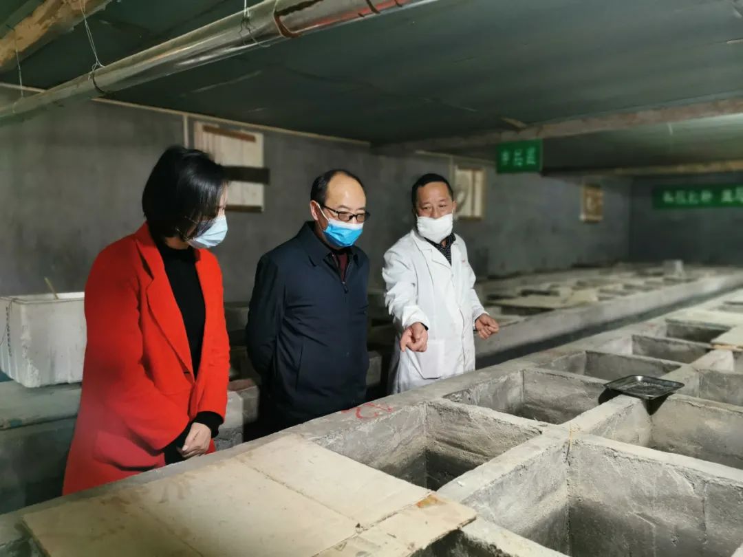 将忠诚铭刻在依法履职的征途中——怀化市人大常委会2020年工作素描（四）