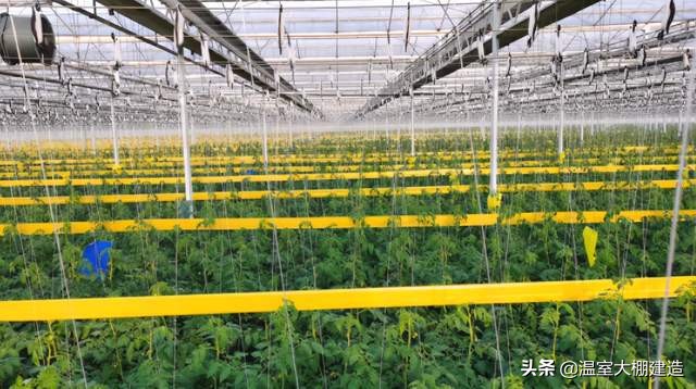 如何建设以智慧农业为主题的现代农业园区？