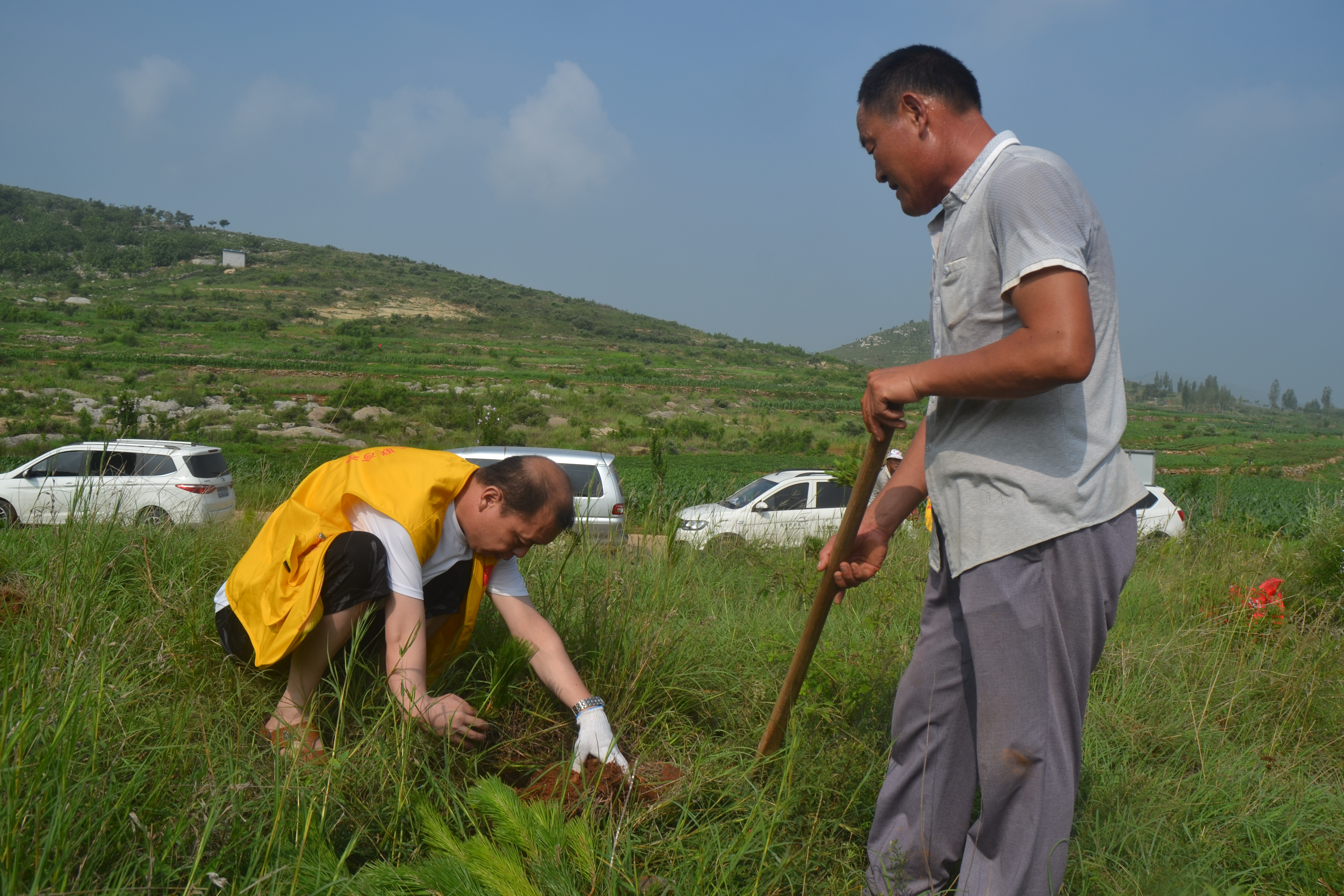 【新时代文明实践】雨季植树造林