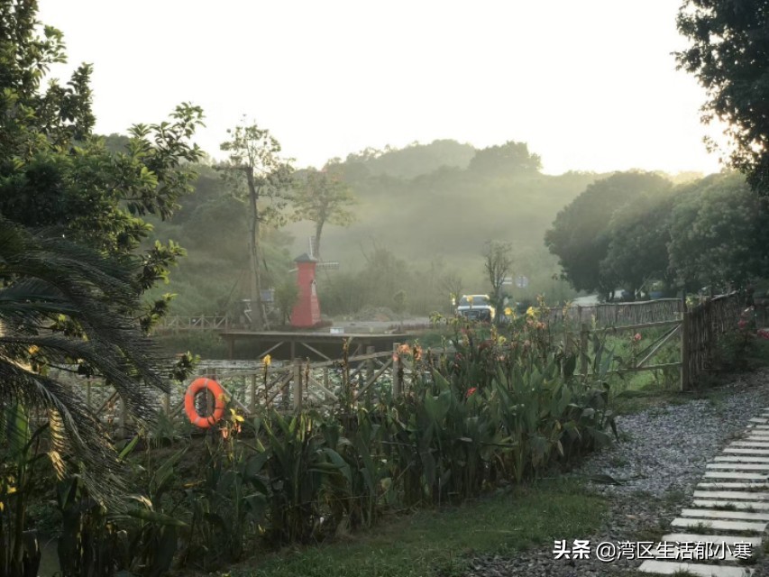 你心中的田园生活是怎样的呢？东莞周边乡野美景