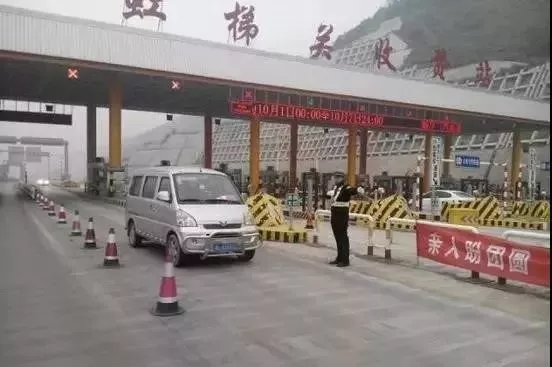 大河报汽车网