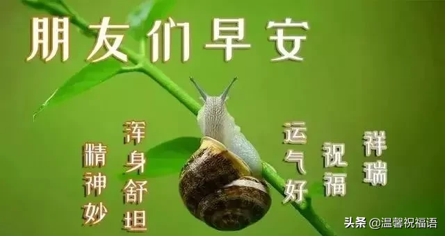 新版|正月十四新版早安问候图片鲜花带字，微信很暖心早安问候语录