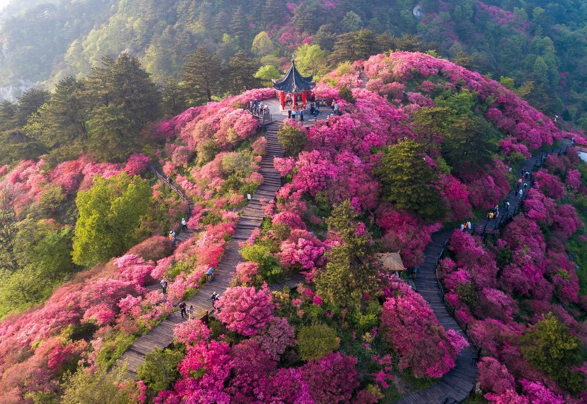 春天最适合小住三五天的12个地方，错过这些美景，又要等一年