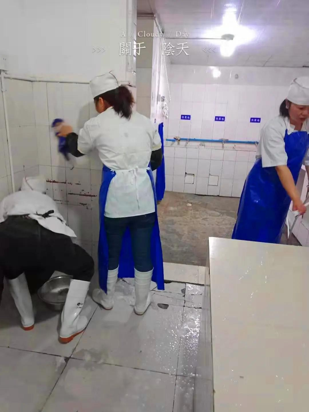 成都市双流区金桥小学丨奋进牛年 犇向未来