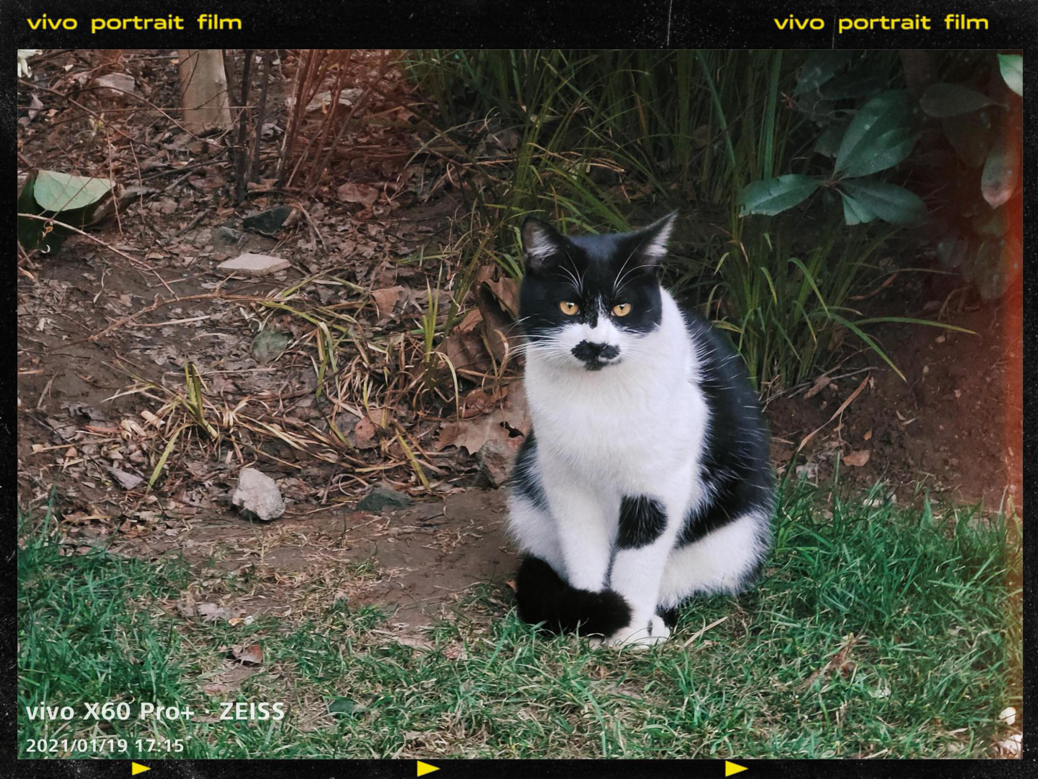 拍照旗舰手机——vivo X60 Pro+性能介绍