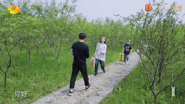 《向往5》即将收官为何大家还在“制作木屋”？