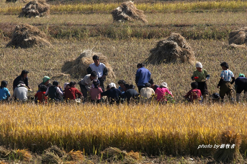 实拍朝鲜人的工作场面，不紧不慢，更像是在享受劳动的过程