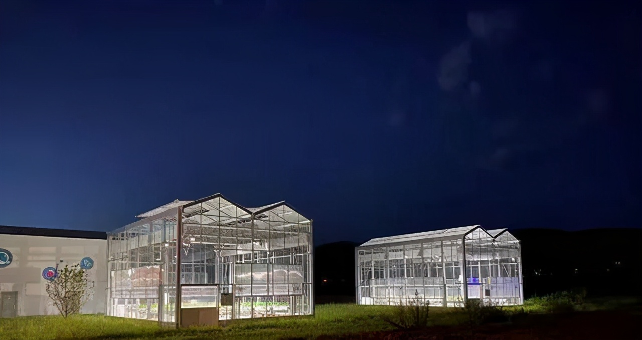 ��ῴ�ȥƴ��ත�³�����������й���ҵ�ҵ��ǳ��󺣣�