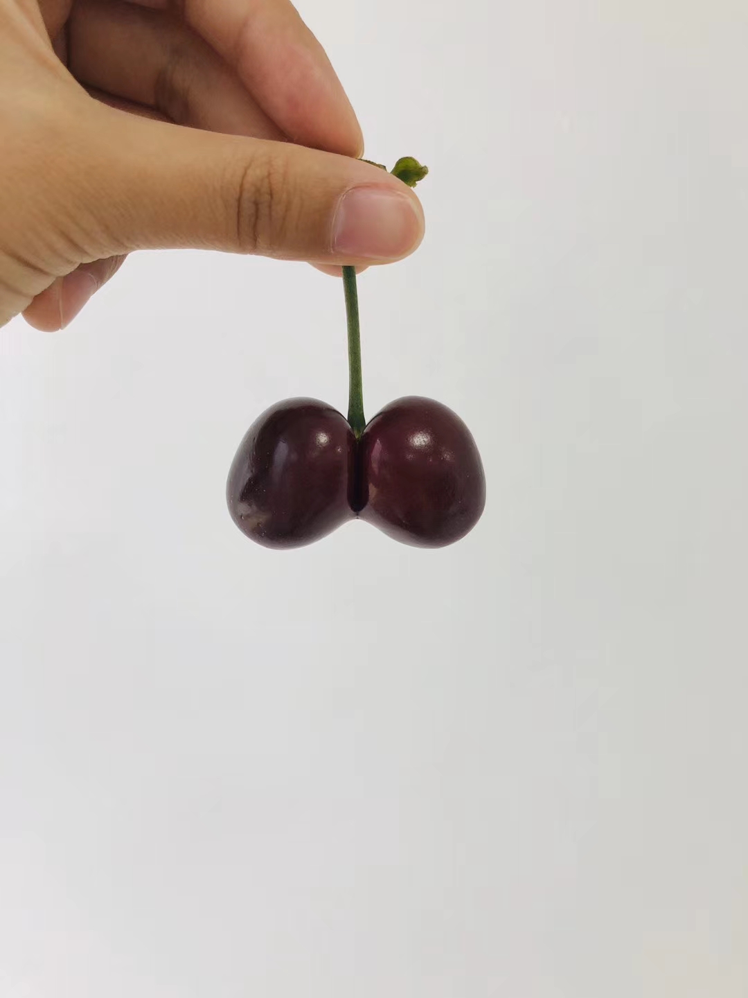 2020年的樱桃上市了！