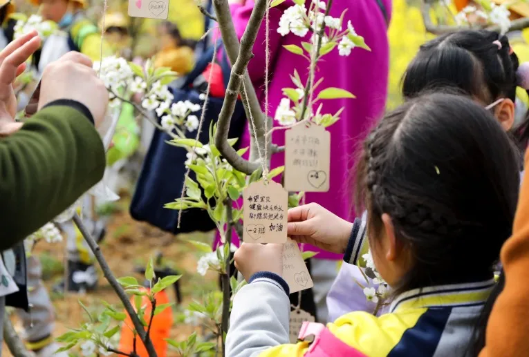 “我们”有一块地这就播种去丨天府新区元音小学劳动实践基地启动
