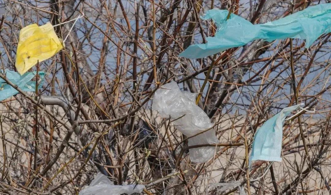 新冠疫情即將引發另一場危機，給人類帶來450年的危害