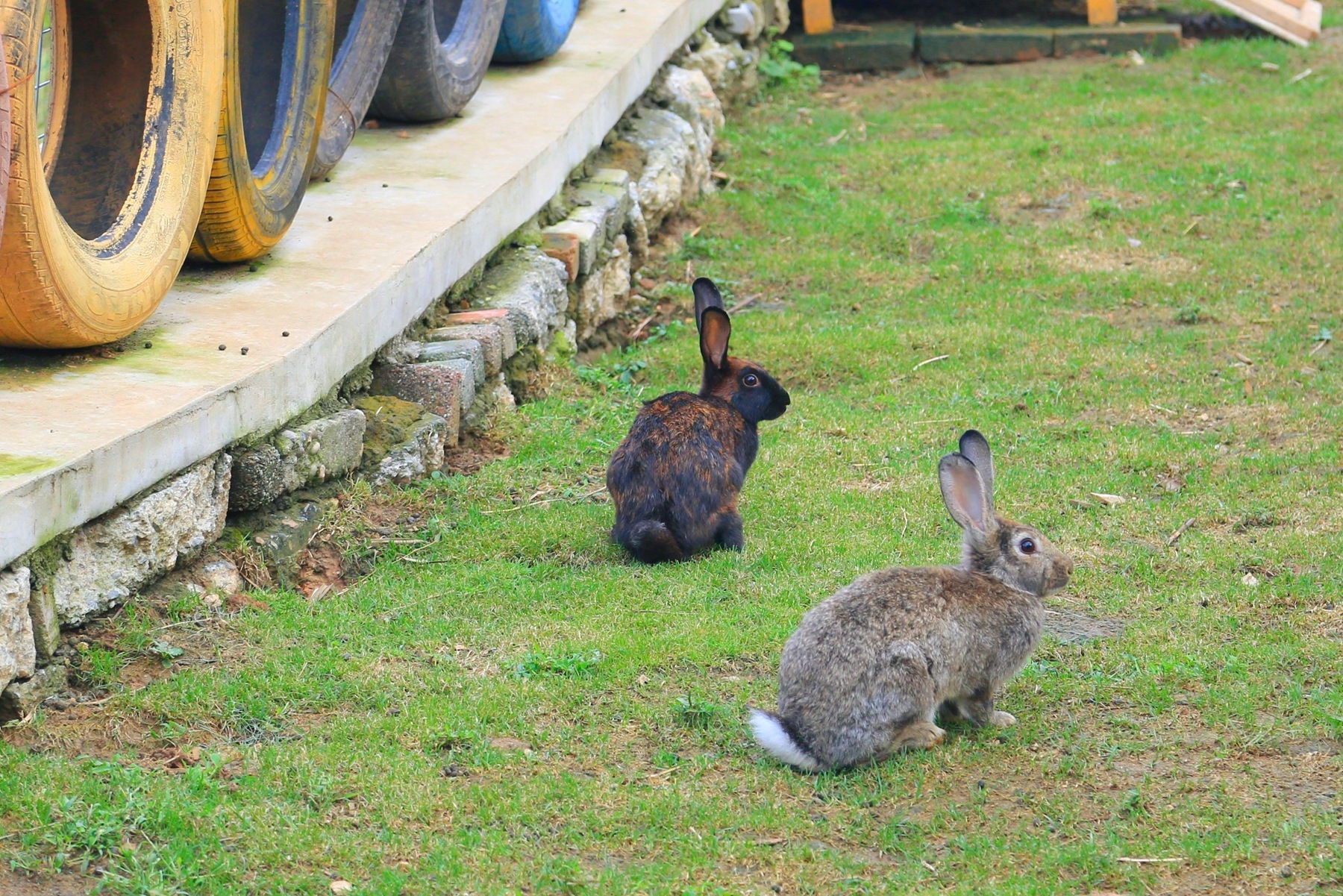 京郊密云小众亲子游，回归田园拥抱自然的超嗨假期